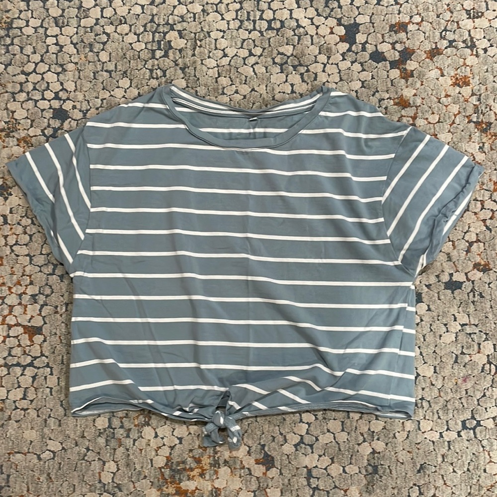 Blue and White Striped Crop